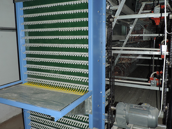 階梯式蛋雞設(shè)備